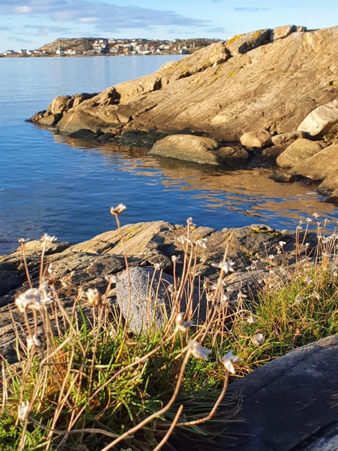 Skaergardsidyll Pa Bjoerkoe Med Gangavstand Till Havet Skarvik المظهر الخارجي الصورة